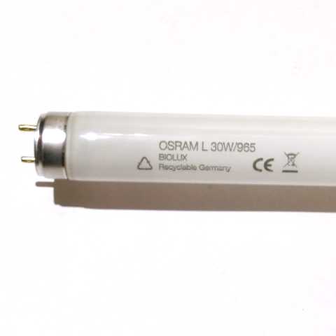 OSRAM L30W/965